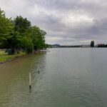 Wide Rhine river under grey skies at the campsite