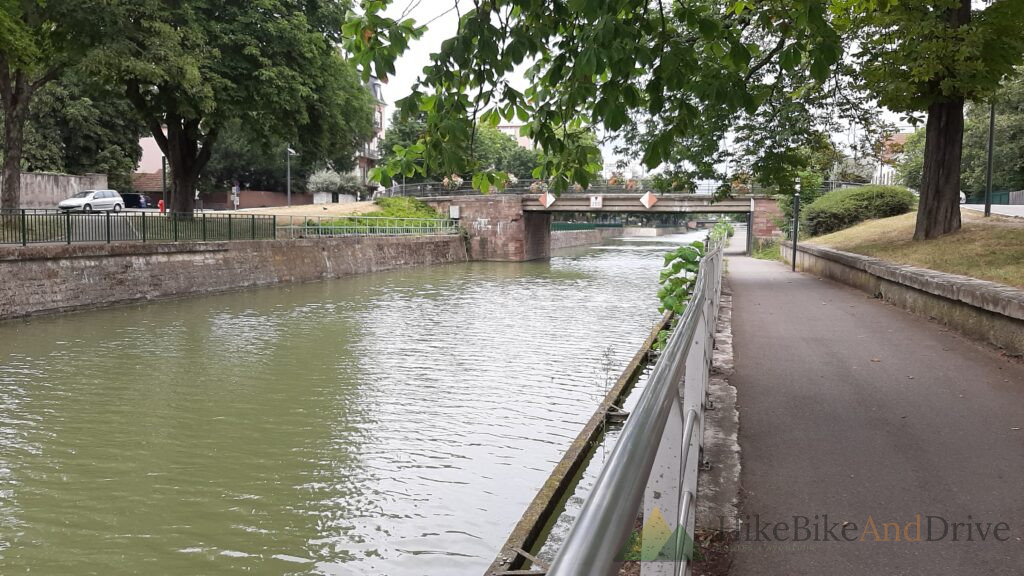 Tree-lined canal-side cycle path in Alsace