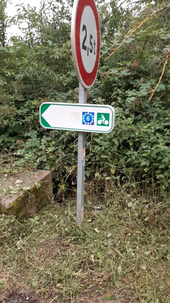 No-entry sign and cycle route marker on an overgrown path